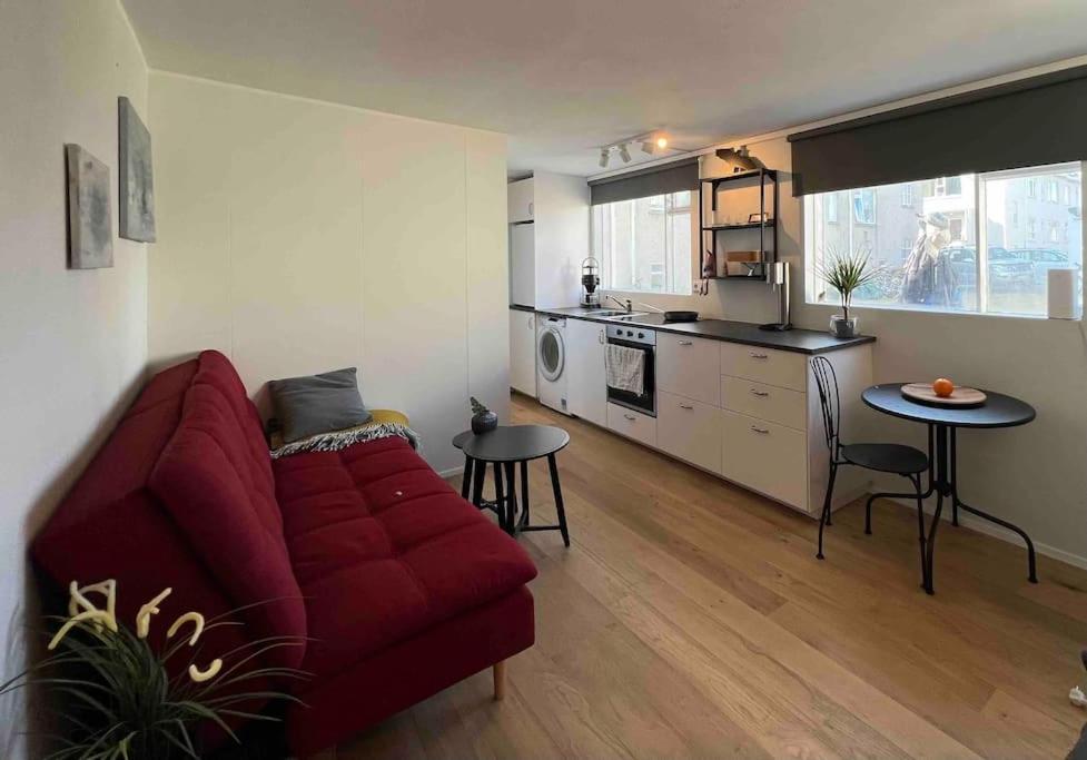 Studio Apartment Reykjavik City Center Екстер'єр фото